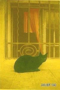 LE COIN D HELENE MIOT   (20)